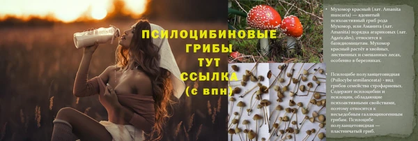 мескалин Богданович