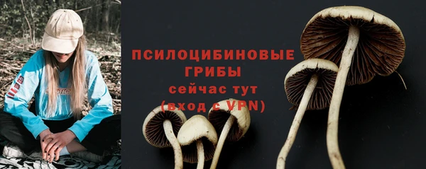 мескалин Богданович