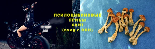 дмт Сосновый Бор