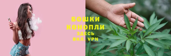 дмт Сосновый Бор