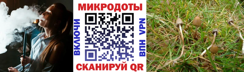 Псилоцибиновые грибы Magic Shrooms Наро-Фоминск